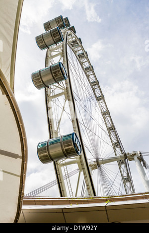 Singapore Flyer è la più grande ruota panoramica del mondo. Foto Stock