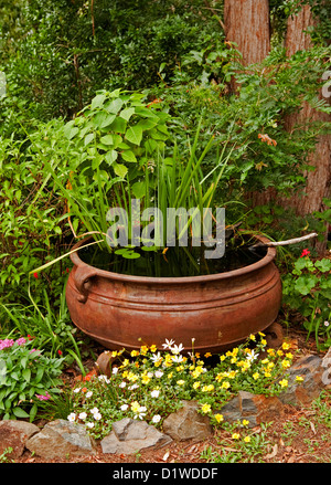 Grande calderone arrugginito - pesce stagno / giardino acqua caratteristica con piante acquatiche e circondato da fiori colorati e arbusti Foto Stock