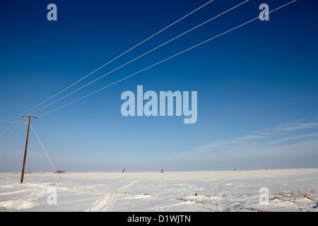 Trasformata per forte gradiente coperto di brina linee di trasmissione di energia elettrica coperta di neve prairie agricolo di terreni agricoli con pumpjacks oilfield inverno Foto Stock