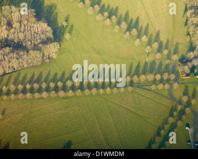 Linee del parco di alberi, vicino a Swindon, Wiltshire, Inghilterra sudoccidentale, REGNO UNITO Foto Stock