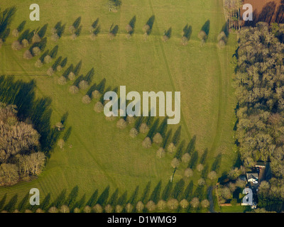 Linee del parco di alberi, vicino a Swindon, Wiltshire, Inghilterra sudoccidentale, REGNO UNITO Foto Stock