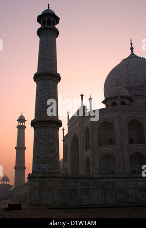 Vista del Taj Mahal all'alba in Agra, India. Foto Stock