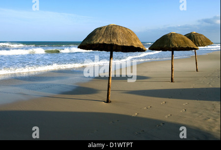 Tunisia Hammamet, ombrelloni sulla spiaggia della zona turistica di Yasmine Foto Stock