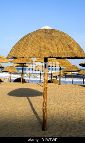 Tunisia Hammamet, ombrelloni sulla spiaggia della zona turistica di Yasmine Foto Stock