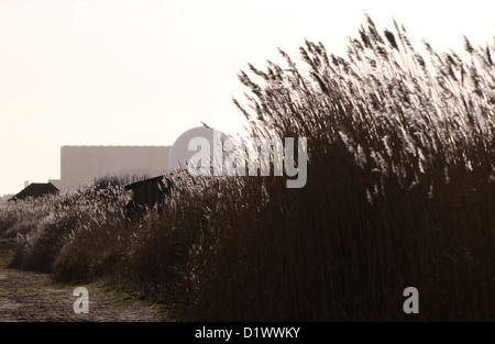 Sizewell centrale nucleare e minsmere rspb riserva naturale, Suffolk, Inghilterra Foto Stock