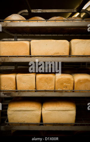 Pane appena sfornato pani / pagnotta di pane bianco nel panificio Foto Stock