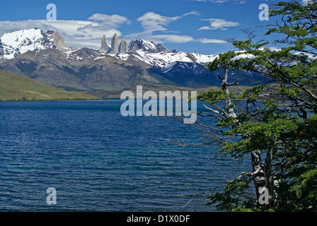 Laguna Azul e Los Torres Torres del Paine NP, Patagonia, Cile Foto Stock