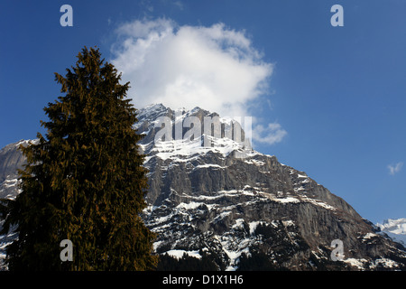 In inverno la neve, Schrekhorn montagna, Grindelwald Ski resort; Alpi svizzere, Jungfrau - Aletsch; Oberland Bernese; Svizzera; l'Europa Foto Stock