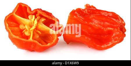 Bhut Jolokia peperoncino o il Naga Morich del Bangladesh Foto Stock