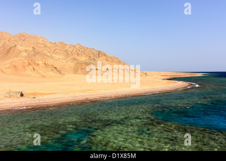 Un snorkeler su un telecomando Coral reef accanto al deserto egiziano Foto Stock