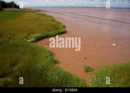 Il mare e la spiaggia a Dawson Dowell Park nella Baia di Fundy, Nova Scotia Foto Stock