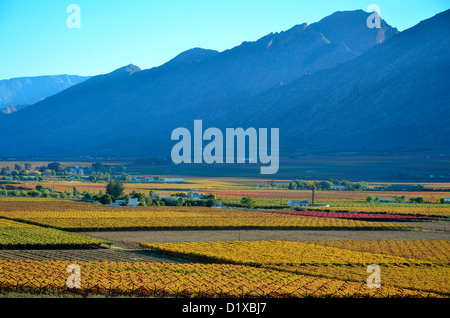 Colori autunnali in Hex river valley vigneti, Western Cape, Sud Africa Foto Stock