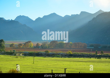 Colori autunnali in Hex River Valley vicino a Worcester, Western Cape, Sud Africa Foto Stock