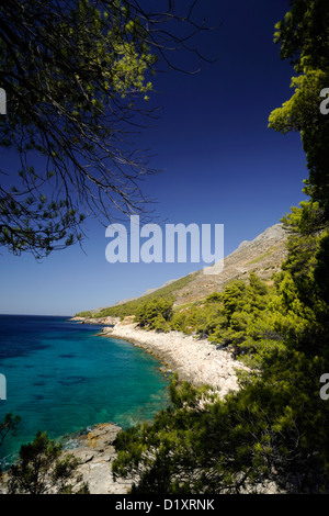 Croazia, Dalmazia, isola di Hvar, costa meridionale, Bojanic Foto Stock