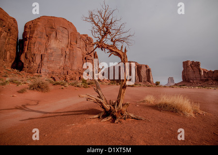 Il Monument Valley nel parco tribale Navajo Foto Stock