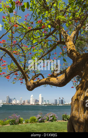 Il centro di Porto dello skyline della città da BAY VIEW PARK SAN DIEGO CALIFORNIA USA Foto Stock