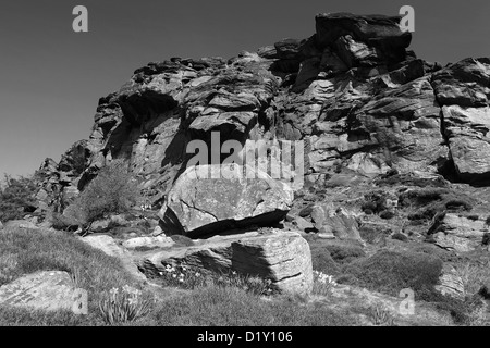 Estate vista sulle formazioni rocciose delle rocce scarafaggi, Staffordshire, England, Regno Unito Foto Stock