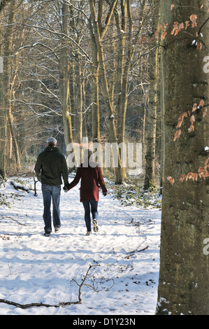 Walkers godendo di una passeggiata nei boschi dopo una caduta di neve nei pressi di Mapledurham, Oxfordshire Inghilterra Foto Stock