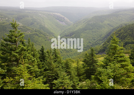 La Mackenzie River Valley sul Cabot Trail, Cape Breton, Nova Scotia Foto Stock