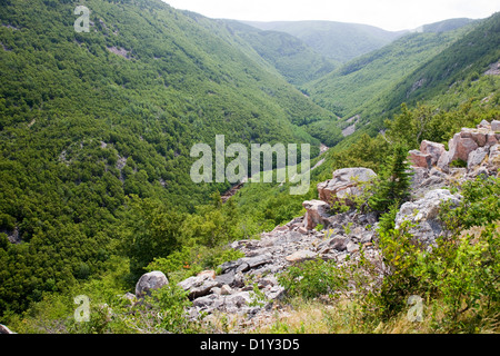 La Mackenzie River Valley sul Cabot Trail, Cape Breton, Nova Scotia Foto Stock