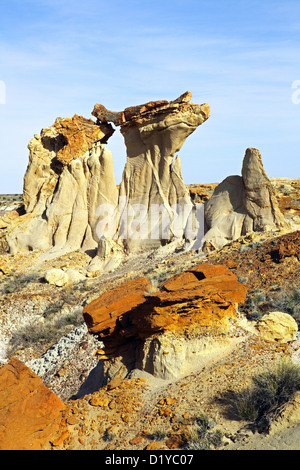 Arcata con legno pietrificato, De-Na-Zin Wilderness, San Juan Basin, Nuovo Messico, STATI UNITI D'AMERICA Foto Stock