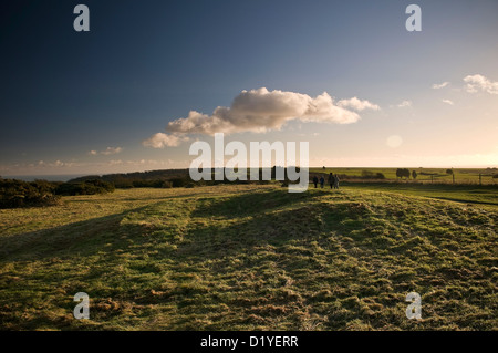 Saccheggiato Età del Bronzo round barrow sulla South Downs modo vicino a Eastbourne, East Sussex, Regno Unito Foto Stock