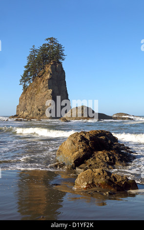 Seconda Spiaggia, la spinta, Tramonto, Olympic Nationalpark, WA, Washington, Stati Uniti d'America Foto Stock