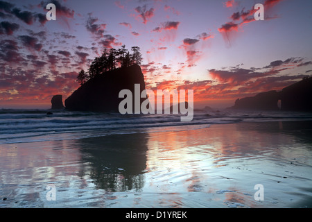 Seconda Spiaggia, la spinta, Tramonto, Olympic Nationalpark, WA, Washington, Stati Uniti d'America Foto Stock