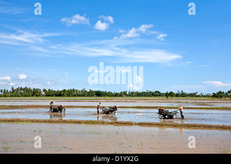 Gli agricoltori che lavorano con macchine per la lavorazione di potenza in un campo di riso. Malaysia Foto Stock