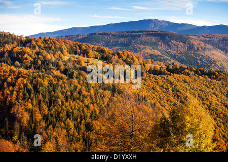 Babia Gora, beskid Zywiecki, Beskidy mountains, Polonia Foto Stock