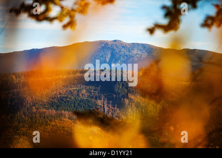 Babia Gora, beskid Zywiecki, Beskidy mountains, Polonia Foto Stock