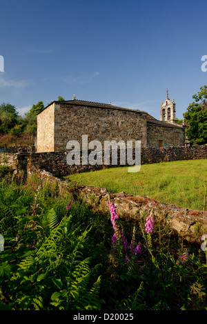 Nespereira, vicino Portmarin, Camino Frances, modo di St James, il Camino de Santiago, la via dei pellegrini, Patrimonio Mondiale UNESCO Europea C Foto Stock