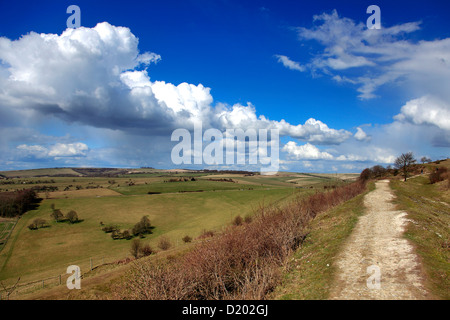 Panorama su Findon Downs vicino al villaggio di Findon, South Downs National Park, Sussex, England, Regno Unito Foto Stock