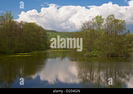 Stagno a Bliesbruck-Reinheim cultura europea Park, Bliesgau, Saarland, Germania, Europa Foto Stock