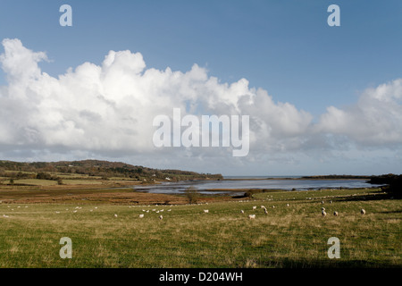 Vista di Traeth Dulas dall'Isola di Anglesey Sentiero costiero Foto Stock