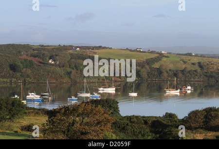 Yacht e barche ormeggiate up-river a Baltimore County Cork in Irlanda Foto Stock