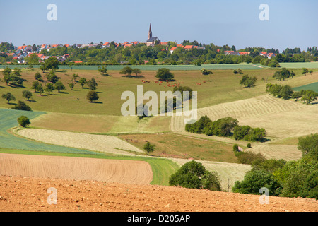 Vista sui campi sul comune di Blieskastel-Biesingen, Bliesgau, Saarland, Germania, Europa Foto Stock