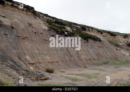 I diversi strati della tomaia letti Hengistbury chiaramente visibile, Hengistbury Head, Dorset, Regno Unito. Foto Stock