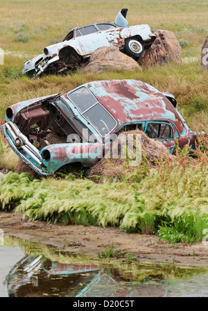 Rurale scena canadese: abbandonati arrugginimento auto d'epoca in un campo di fattoria, vicino alla cittadina di avanguardia, Saskatchewan, Canada. Foto Stock