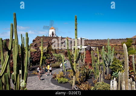 Il mulino a vento e cactus, giardino botanico, Jardin de Cactus, architetto Cesar Manrique, Guatiza, Lanzarote, Isole Canarie, Spagna, Eur Foto Stock