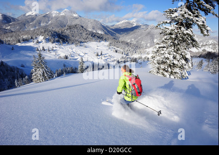 Donna discendente da Schildenstein su sci backcountry, Schildenstein, Tegernseer gamma, Prealpi bavaresi, Alta Baviera, Bavar Foto Stock