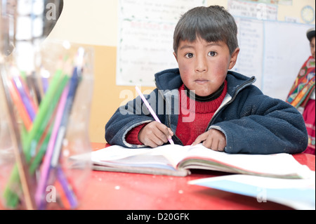 Il benessere dei bambini organizzazione prevede sostiene le persone di origine autoctona della regione di Cusco, Perù. 722 famiglie in 43 comunità di ottenere accesso ai programmi di credito per portare la gente dalla povertà estrema. Vi è anche la formazione per allevamento di animali. Foto Stock