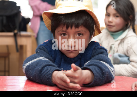 Il benessere dei bambini organizzazione prevede sostiene le persone di origine autoctona della regione di Cusco, Perù. 722 famiglie in 43 comunità di ottenere accesso ai programmi di credito per portare la gente dalla povertà estrema. Vi è anche la formazione per allevamento di animali. Foto Stock