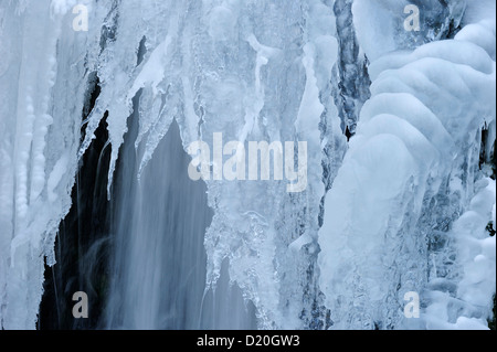 Il ghiaccio presso il fiume Reno, Rheinfall, Schaffhausen, Svizzera Foto Stock