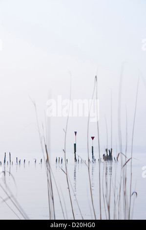 Il lago di Costanza in inverno, vicino Ueberlingen, Baden-Württemberg, Germania Foto Stock