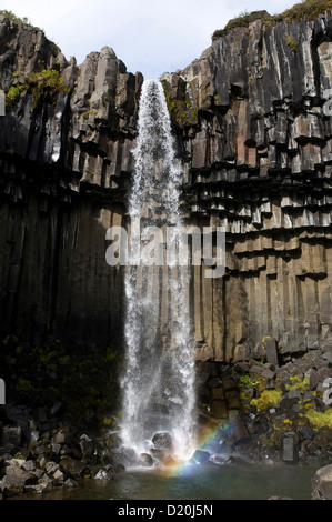 Svartifoss cascata in Skaftafell National Park, Islanda, Scandinavia, Europa Foto Stock