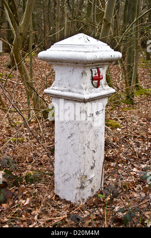 Carbone vittoriano-tax post che mostra il confine di Londra per il dazio di scopi, nella Foresta di Epping, Theydon Bois, Essex, Inghilterra Foto Stock