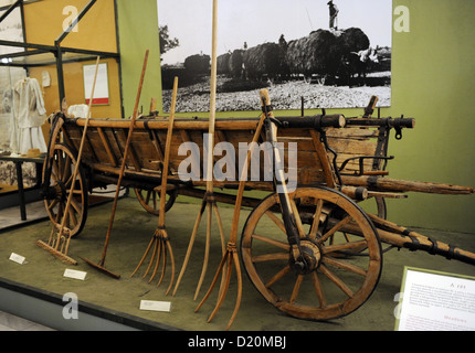 Gli strumenti utilizzati per la raccolta di fieno. Museo etnografico. Budapest. Ungheria. Foto Stock