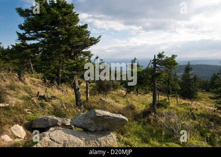 Picco di montagna Brocken, Harz, Sassonia-Anhalt, Germania Foto Stock