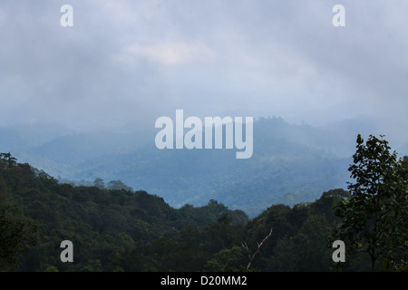 Nebbia di mattina coprire la montagna , Doi Dam Wianghaeng in Thailandia Foto Stock